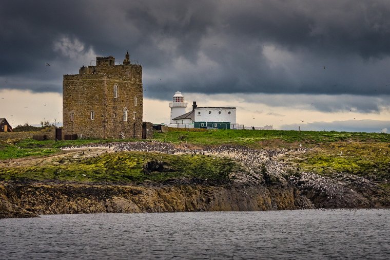 015 Farne eiland.jpg